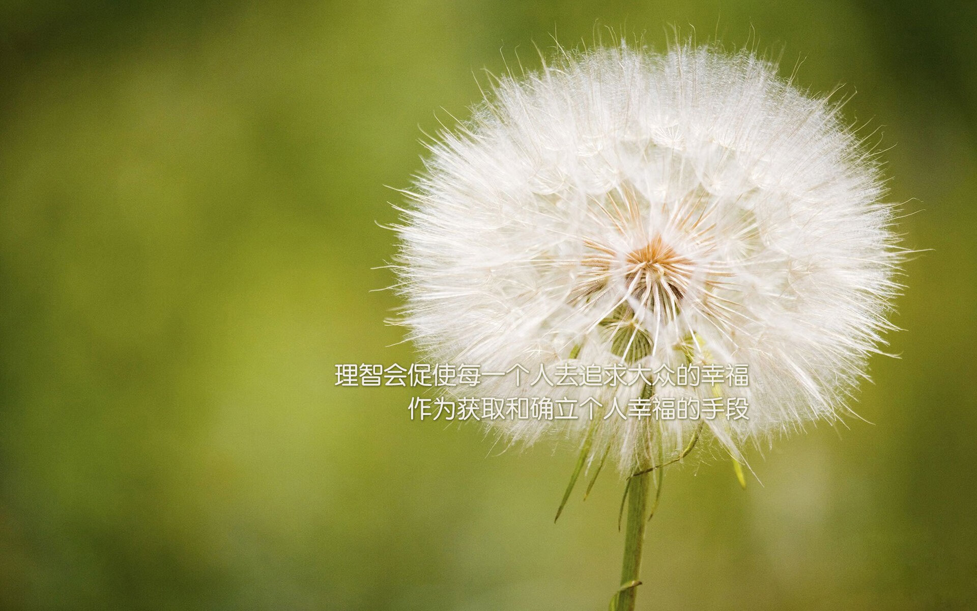 独行侠惊天翻盘快船，西亚卡姆的影子主宰如何改写比赛走向？